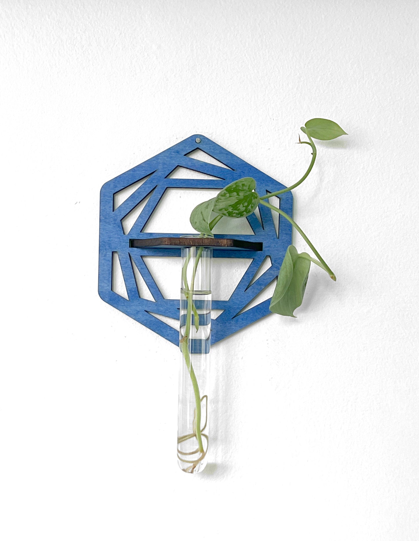 Handmade Wood Propagation Wall Hanging