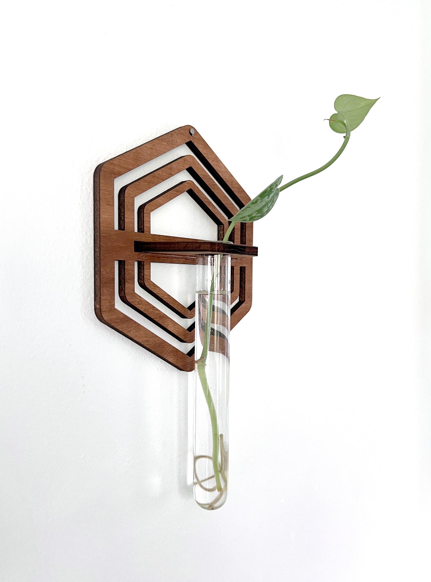Handmade Wood Propagation Wall Hanging