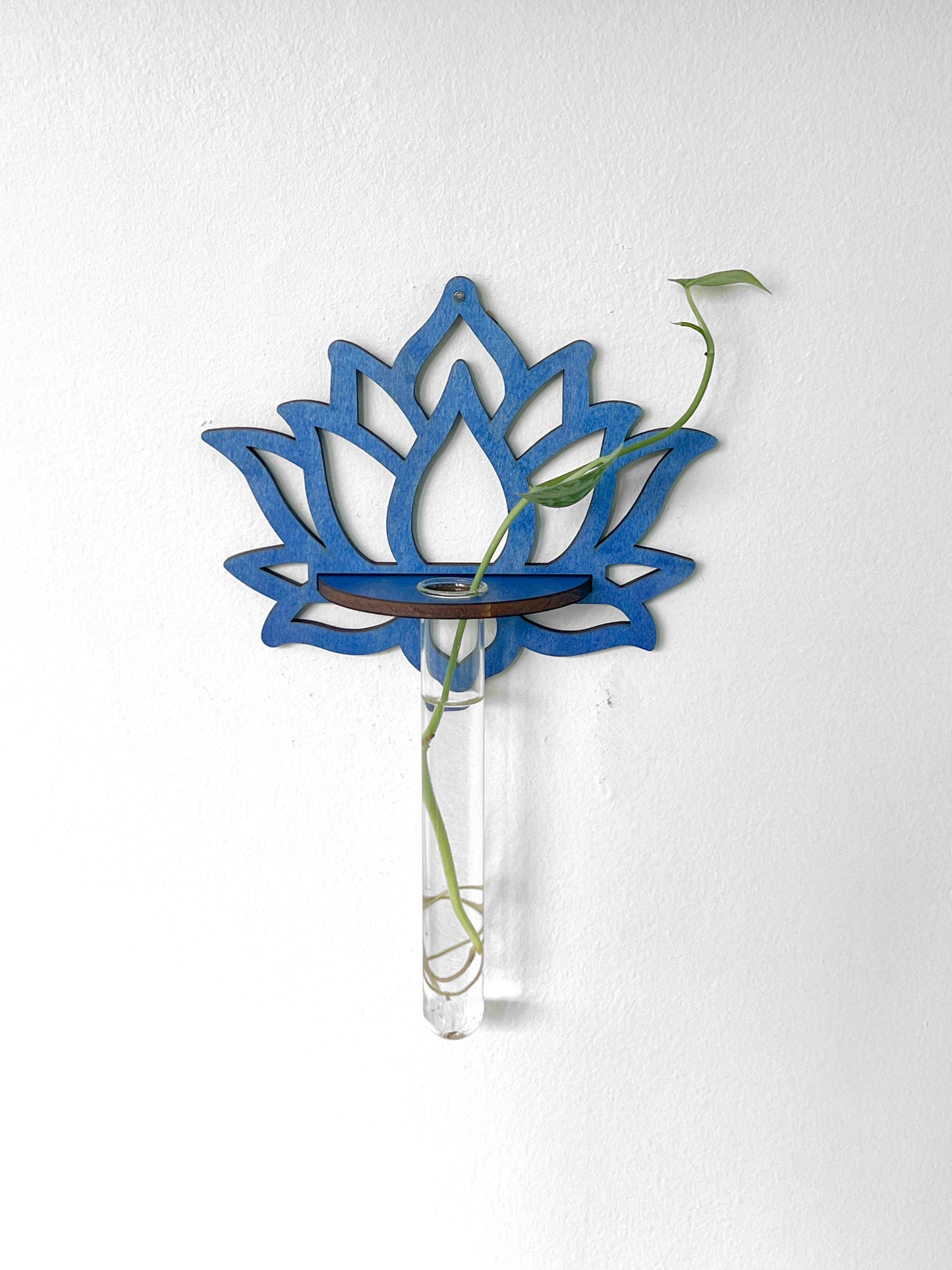 Handmade Wood Propagation Wall Hanging