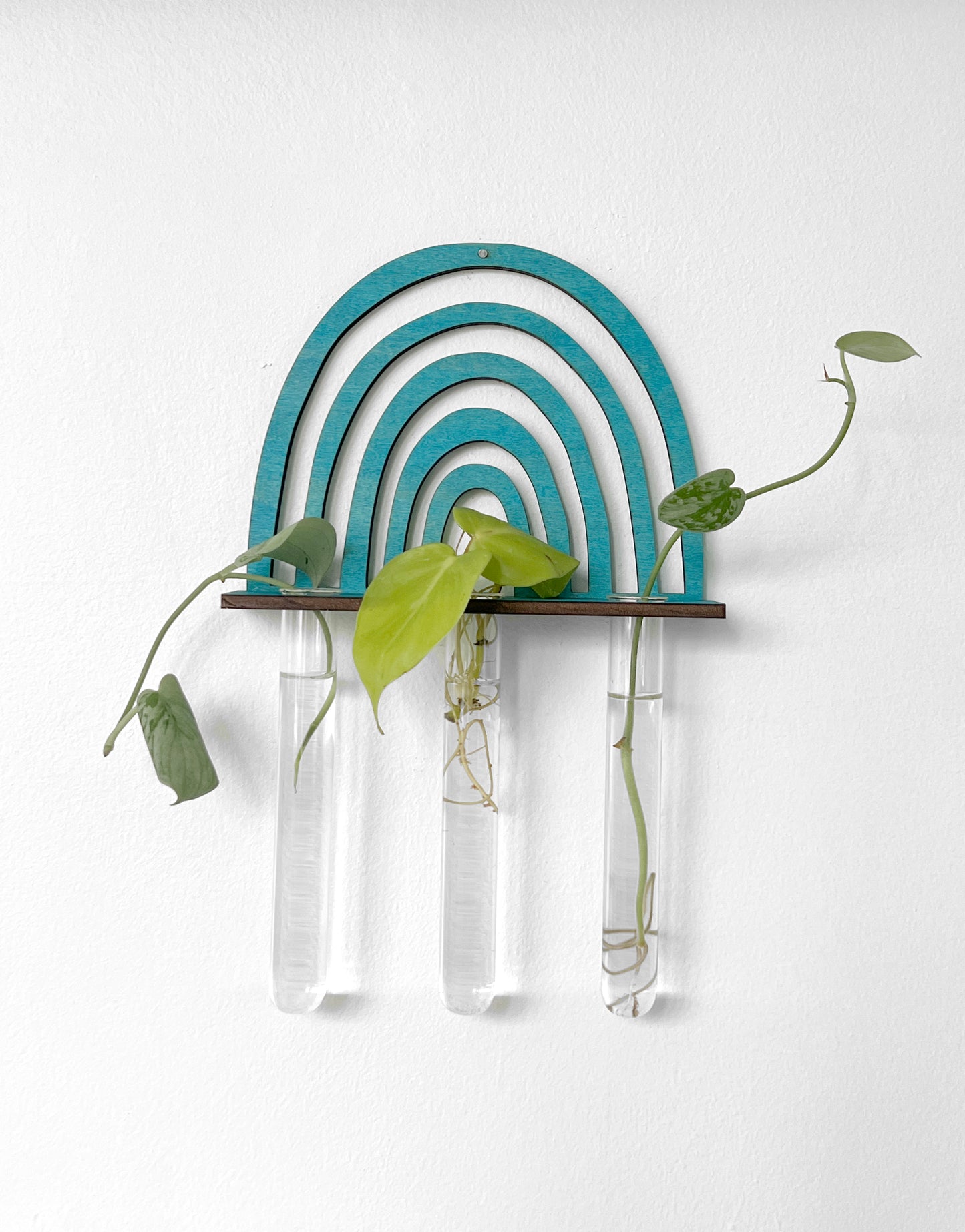 Handmade Wood Propagation Wall Hanging