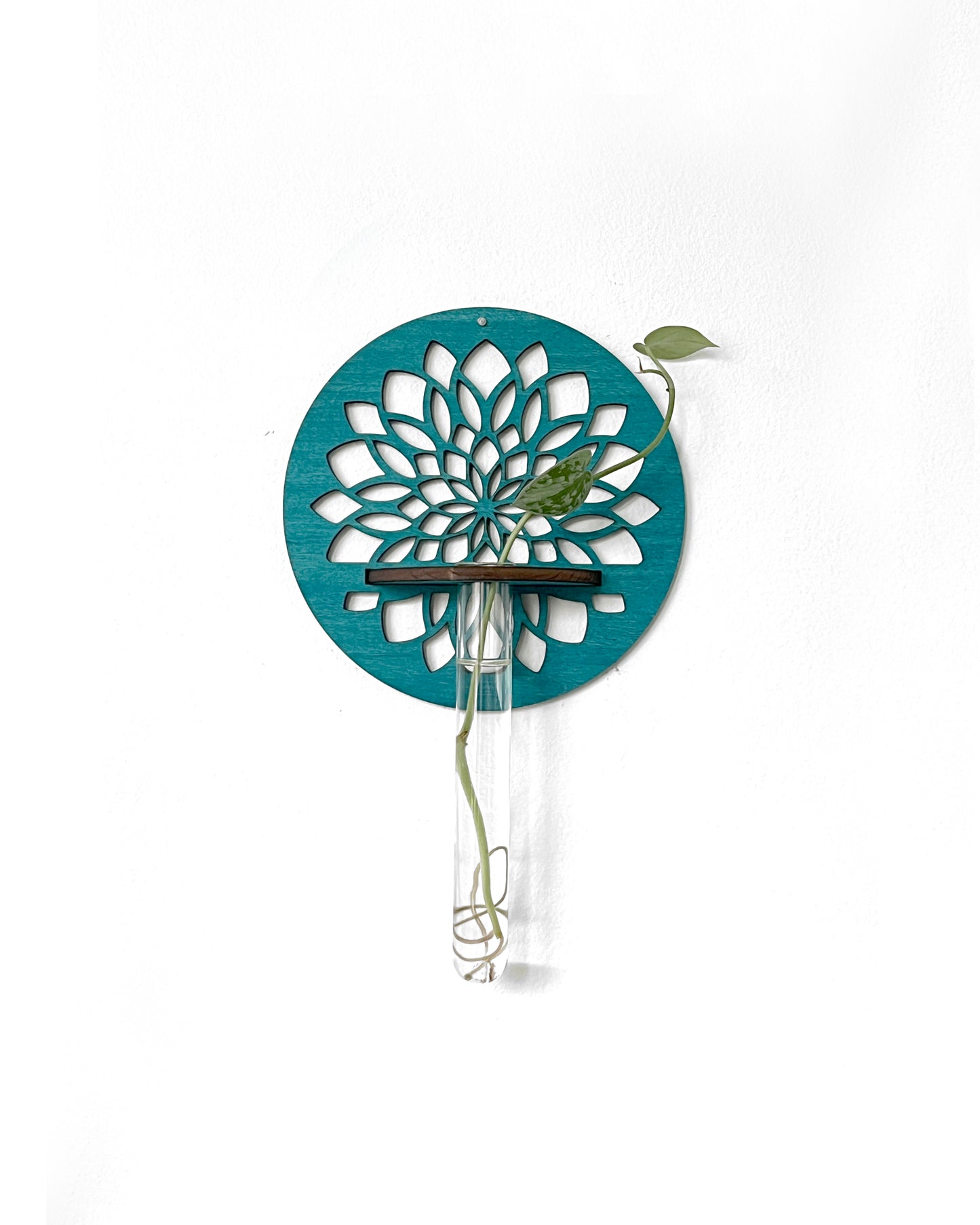 Handmade Wood Propagation Wall Hanging