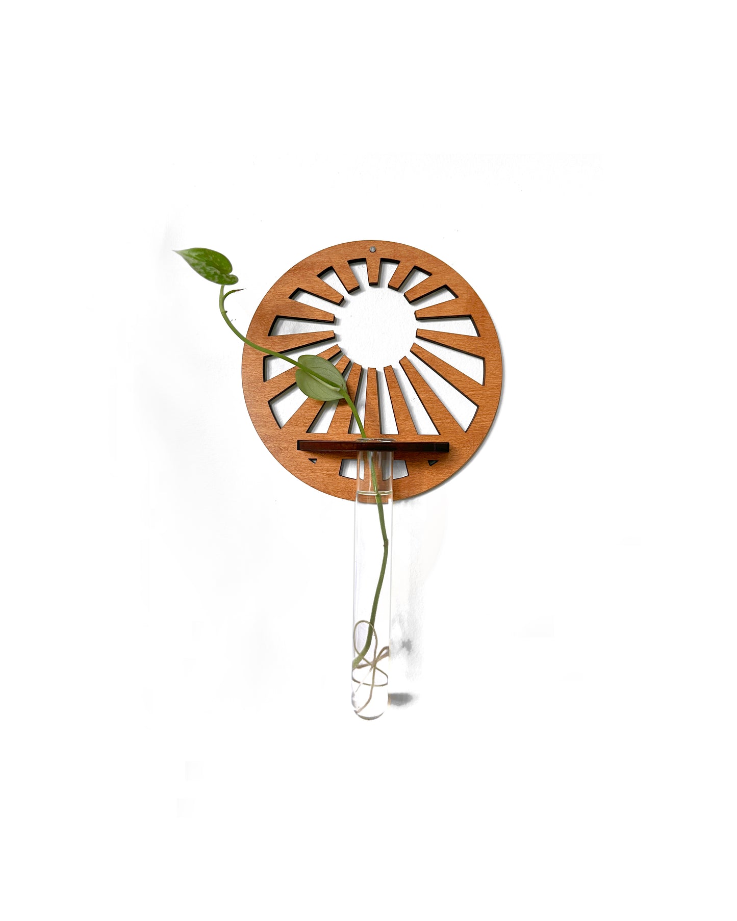 Handmade Wood Propagation Wall Hanging