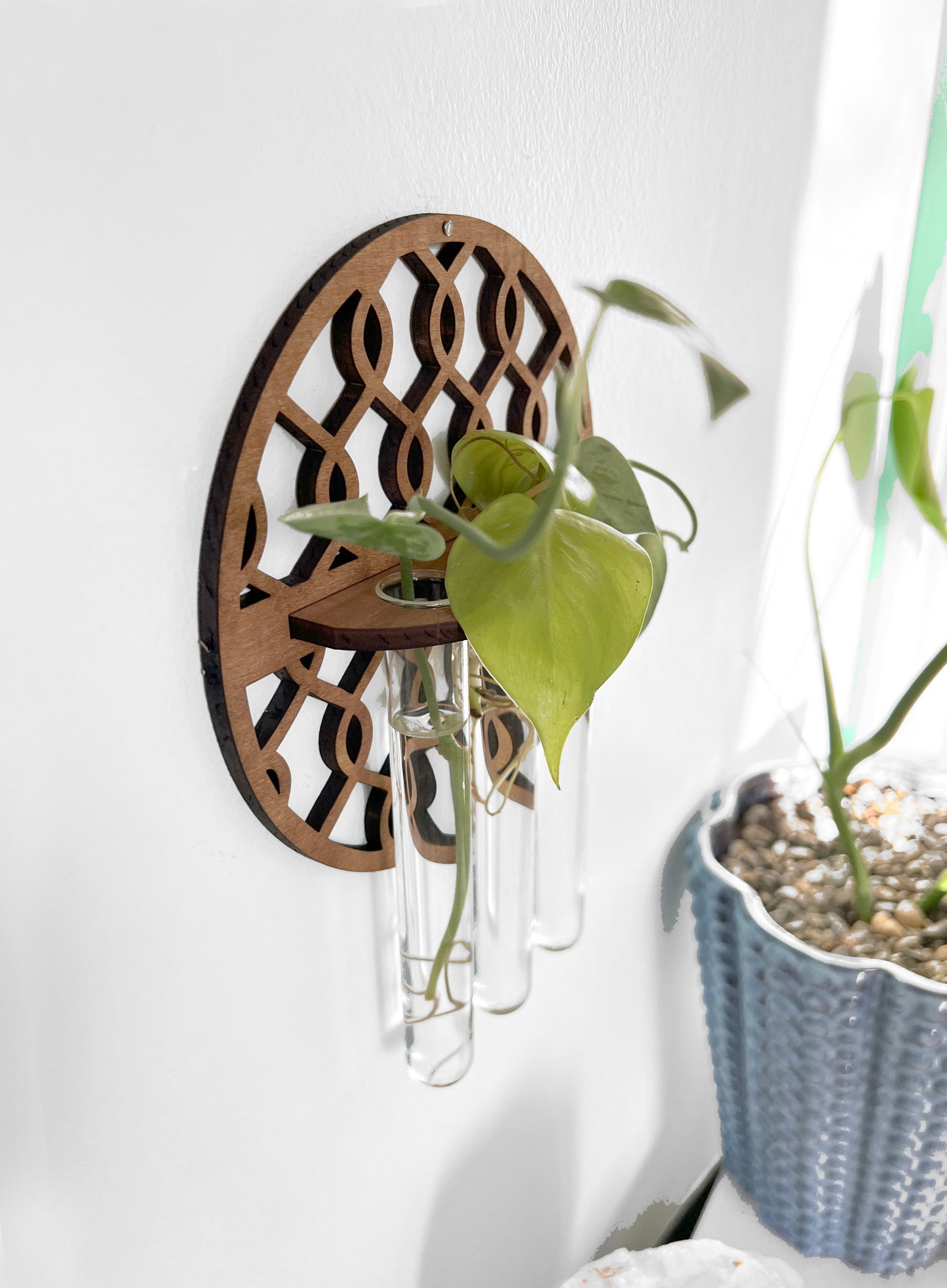 Handmade Wood Propagation Wall Hanging