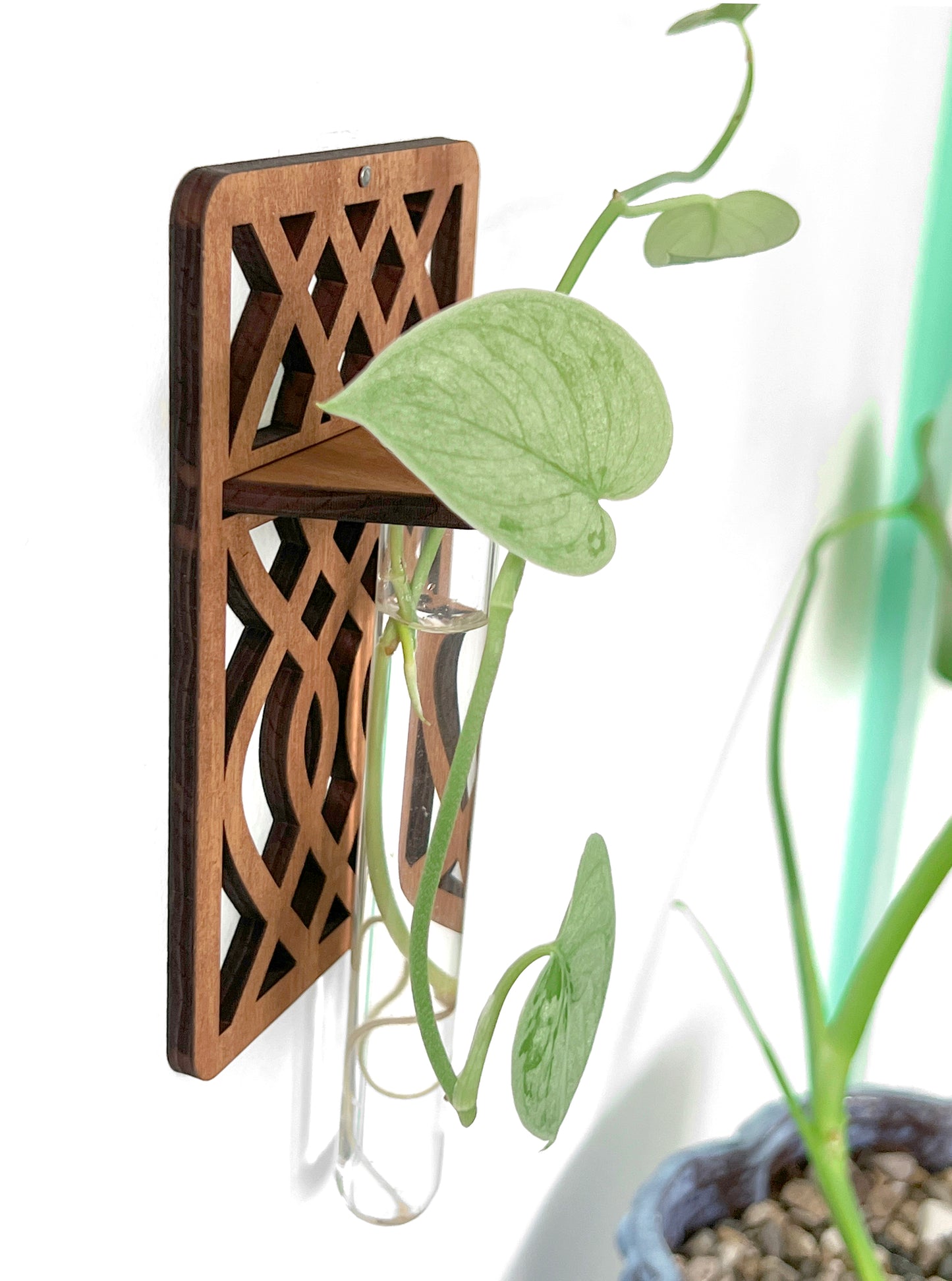 Handmade Wood Propagation Wall Hanging