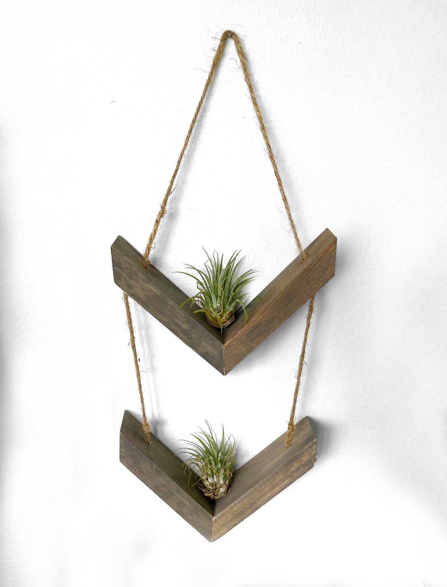 Wood Chevron Air Plant Holder, Wall Hanging Angled Modern Boho Design, Gift Idea, Plant Lovers, Present for Mom, Great way to display plants