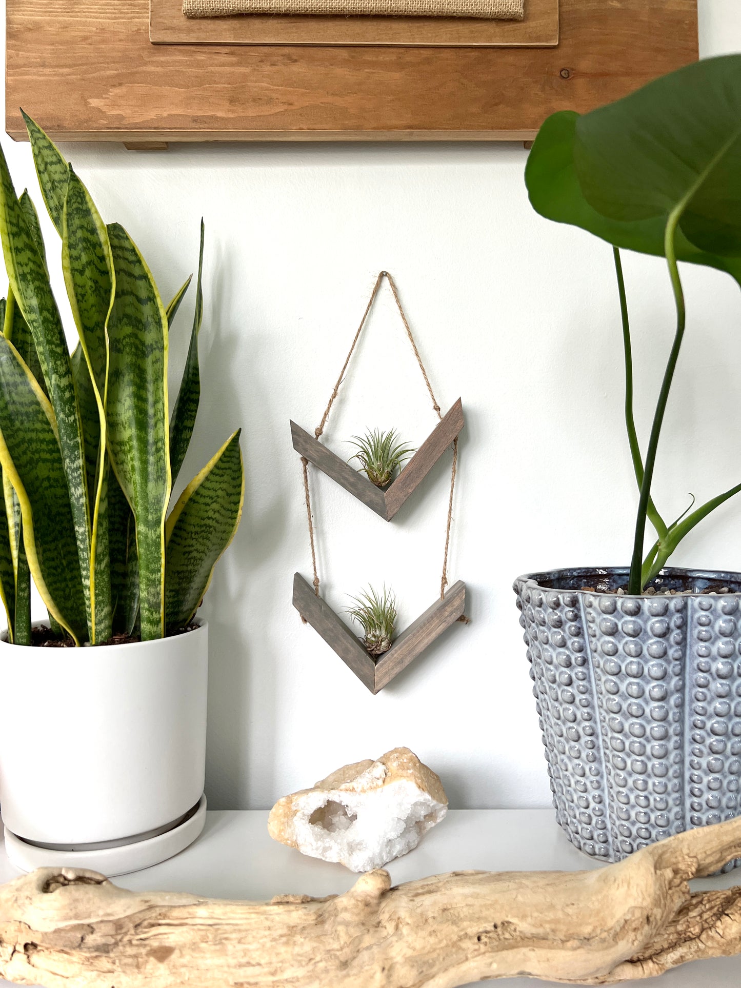 Wood Chevron Air Plant Holder, Wall Hanging Angled Modern Boho Design, Gift Idea, Plant Lovers, Present for Mom, Great way to display plants
