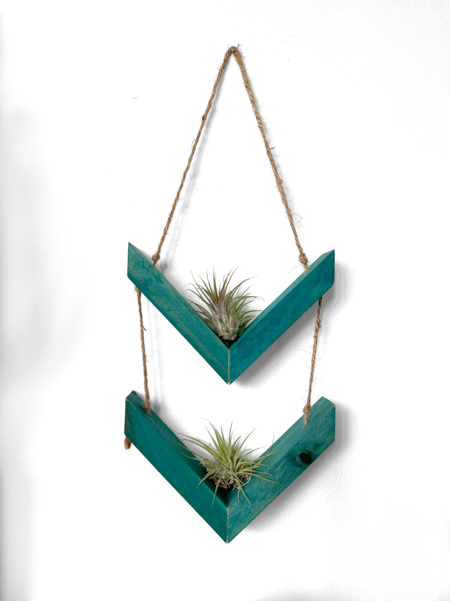 Wood Chevron Air Plant Holder, Wall Hanging Angled Modern Boho Design, Gift Idea, Plant Lovers, Present for Mom, Great way to display plants
