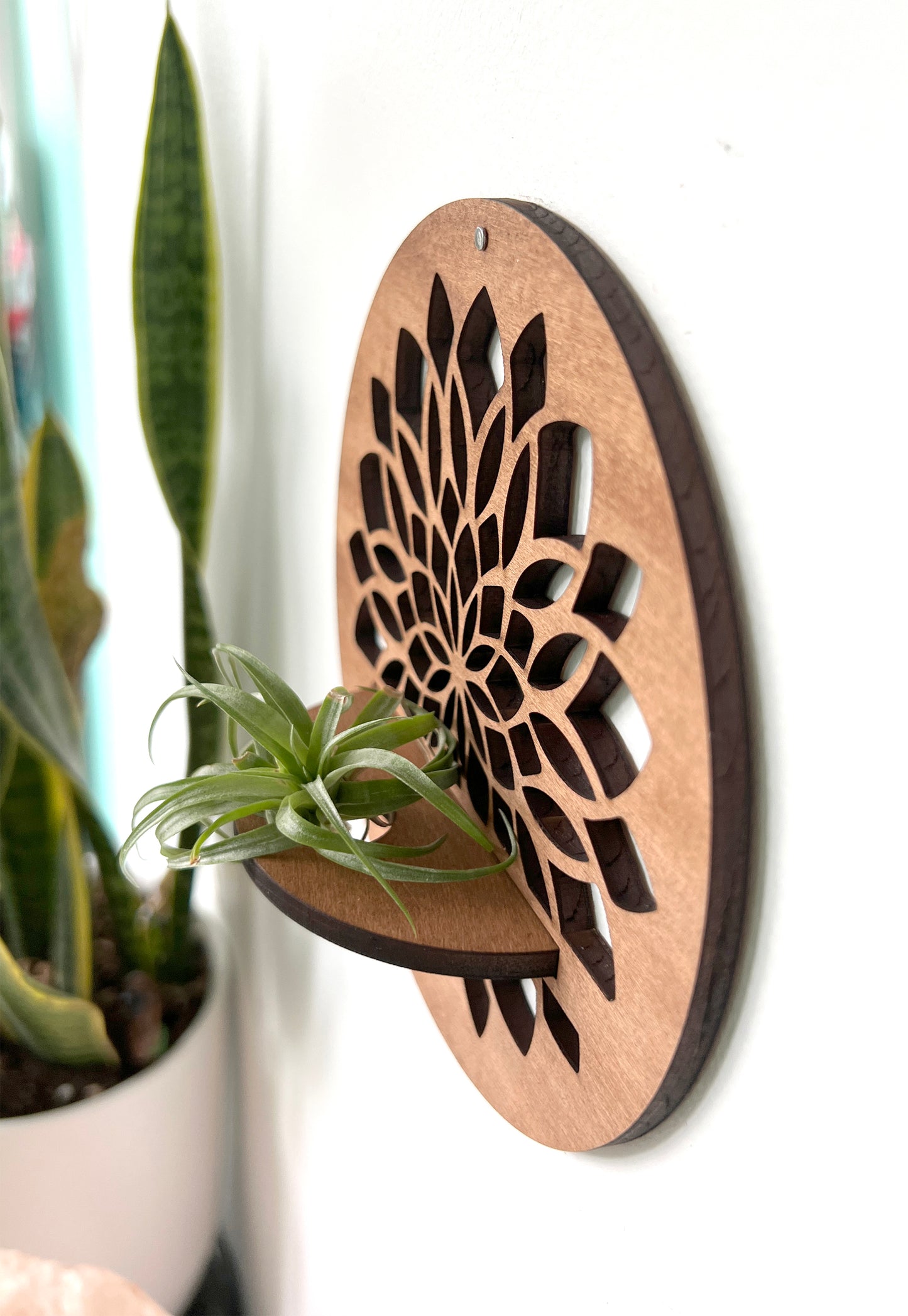Wood Round Ocean Wave Beach, Mandala Flower or Sunbeam Air Plant Holder, Wall Hanging Modern Boho Design, Unique Display for Plant Lovers, Present for Mom, Garden Gift