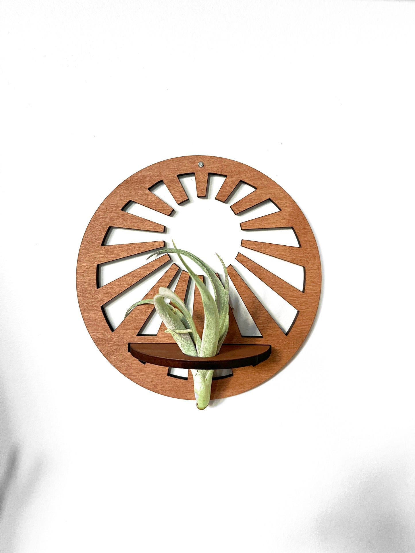 Wood Round Ocean Wave Beach, Mandala Flower or Sunbeam Air Plant Holder, Wall Hanging Modern Boho Design, Unique Display for Plant Lovers, Present for Mom, Garden Gift