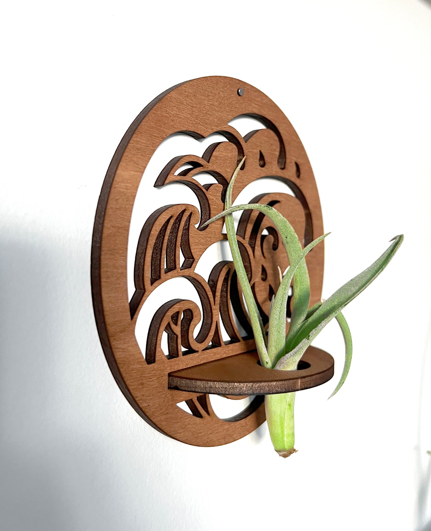 Wood Round Ocean Wave Beach, Mandala Flower or Sunbeam Air Plant Holder, Wall Hanging Modern Boho Design, Unique Display for Plant Lovers, Present for Mom, Garden Gift