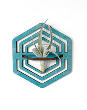 Handmade Wood Air Plant Holder, Wall Hanging with a Modern Boho Design, Unique Display for Plant Lovers, Present for Mom, Garden Gift