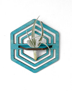 Handmade Wood Air Plant Holder, Wall Hanging with a Modern Boho Design, Unique Display for Plant Lovers, Present for Mom, Garden Gift