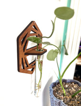 Handmade Propagation Wall Hanging with a Modern Boho Design, Unique Display for Plant Lovers, Present for Mom, Garden Gift