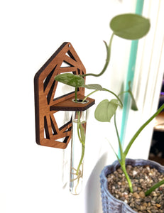 Handmade Propagation Wall Hanging with a Modern Boho Design, Unique Display for Plant Lovers, Present for Mom, Garden Gift