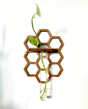 Handmade Propagation Wall Hanging with a Modern Boho Design, Unique Display for Plant Lovers, Present for Mom, Garden Gift