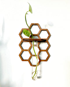 Handmade Propagation Wall Hanging with a Modern Boho Design, Unique Display for Plant Lovers, Present for Mom, Garden Gift