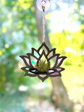 Handmade Wood Air Plant Holder SUN CATCHER with a Modern Boho Design, Unique Display for Plant Lovers, Present for Mom, Garden Gift