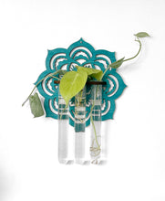 Handmade Propagation Wall Hanging with a Modern Boho Design, Unique Display for Plant Lovers, Present for Mom, Garden Gift