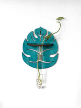 Handmade Propagation Wall Hanging with a Modern Boho Design, Unique Display for Plant Lovers, Present for Mom, Garden Gift