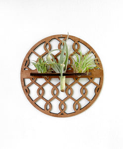 Handmade Wood Air Plant Holder, Wall Hanging with a Modern Boho Design, Unique Display for Plant Lovers, Present for Mom, Garden Gift