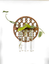 Handmade Propagation Wall Hanging with a Modern Boho Design, Unique Display for Plant Lovers, Present for Mom, Garden Gift