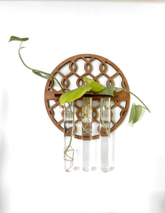 Handmade Propagation Wall Hanging with a Modern Boho Design, Unique Display for Plant Lovers, Present for Mom, Garden Gift