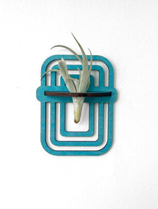 Handmade Wood Air Plant Holder, Wall Hanging with a Modern Boho Design, Unique Display for Plant Lovers, Present for Mom, Garden Gift