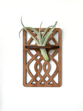 Handmade Wood Air Plant Holder, Wall Hanging with a Modern Boho Design, Unique Display for Plant Lovers, Present for Mom, Garden Gift