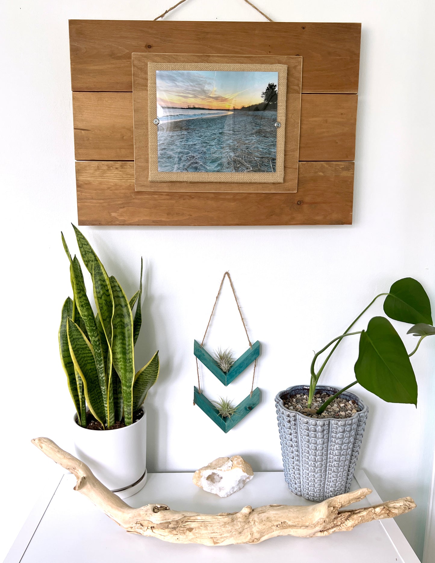Wood Chevron Air Plant Holder, Wall Hanging Angled Modern Boho Design, Gift Idea, Plant Lovers, Present for Mom, Great way to display plants