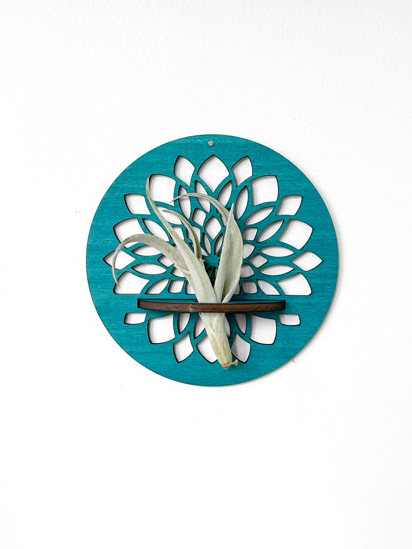Wood Round Ocean Wave Beach, Mandala Flower or Sunbeam Air Plant Holder, Wall Hanging Modern Boho Design, Unique Display for Plant Lovers, Present for Mom, Garden Gift